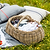 Bembridge Forage Basket Natural
