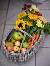 Bembridge Forage Basket Natural