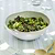 Ithaca Salad Bowl White