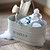 Original Wash Up Tidy Chalk