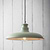 Toulon Pendant Light Sage