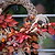 Bembridge Door Wreath 50cm Natural