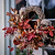 Bembridge Door Wreath 50cm Natural
