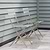 Rive Droite Bistro Chairs Set of 2 Clay