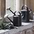 Classic Watering Can 5L Carbon