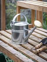 Classic Watering Can 5L Silver