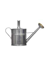Classic Watering Can 5L Silver