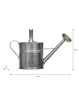 Classic Watering Can 5L Silver