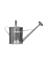 Classic Watering Can 10L Silver