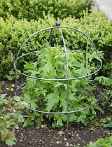 Barrington Domed Plant Support Large