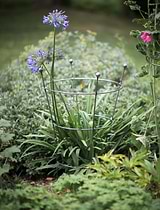 Barrington Flared Plant Support Large