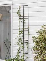Charlbury Wall Trellis 30cm