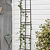 Charlbury Wall Trellis 30cm