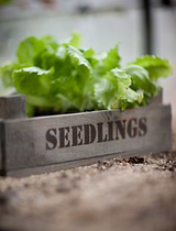 Aldsworth Wooden Seedlings Tray Natural