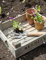 Aldsworth Wooden Seedlings Tray Natural