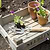 Aldsworth Wooden Seedlings Tray Natural