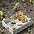 Aldsworth Wooden Seedlings Tray Natural