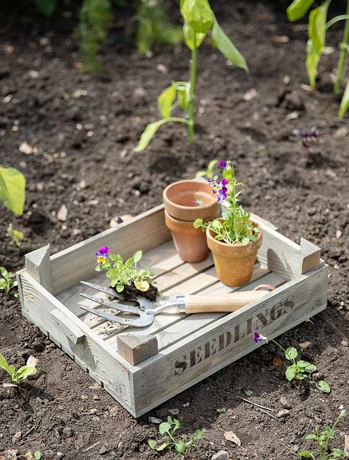 Aldsworth Wooden Seedlings Tray Natural