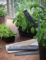 Classic Slate Plant Tags with Pencil Set of 6 Natural
