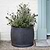 Bathford Round Planter 54cm Black