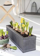 Bathford Trough 60cm