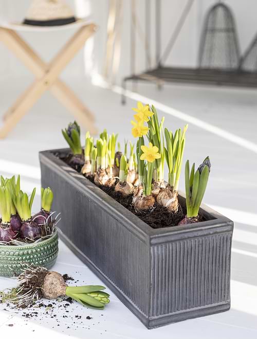 Bathford Trough 60cm