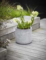 Brockwell Planter 27cm Grey