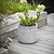 Brockwell Planter 27cm Grey