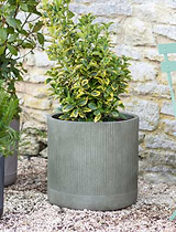 Cutsdean Planter 43cm Green