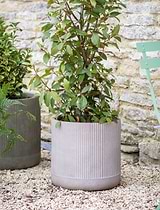Cutsdean Planter 36cm Warm Stone