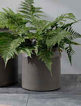 Draycott Planter, 24cm in Pebble - Fibre Clay