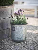 Malmesbury Planter 33cm