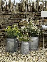 Hailey Planters Set of 3