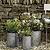 Hailey Planters Set of 3