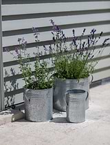 Hailey Planters Set of 3