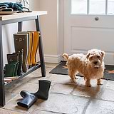 Bake A Treat for National Love Your Pet Day