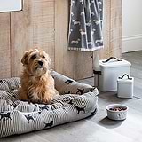 Our Top 3 Items for your Pets