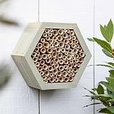 How You Can Help Save the Bees
