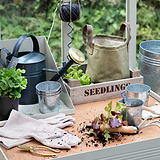 Top 5 Tips for a Springtime Garden Makeover