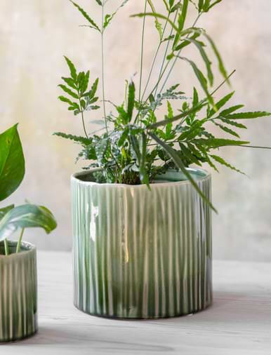 Indoor plant deals pots uk