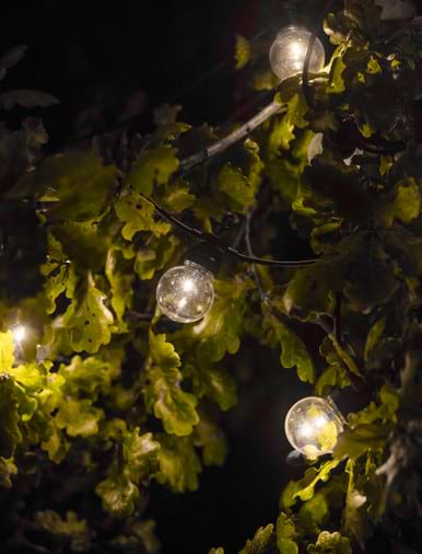Garden trading online festoon lights