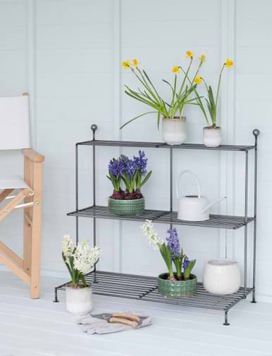 Narrow plant on sale stand