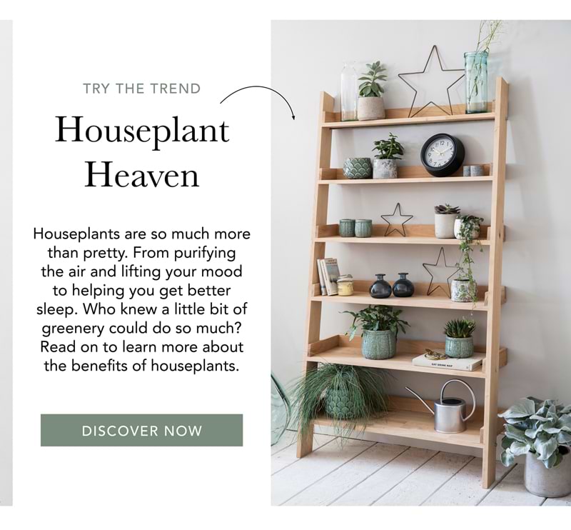 Houseplant Heaven