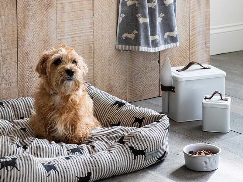 Prize bundle with dachshund towel, dog bed, pet food bin, treat tin and pet bowl