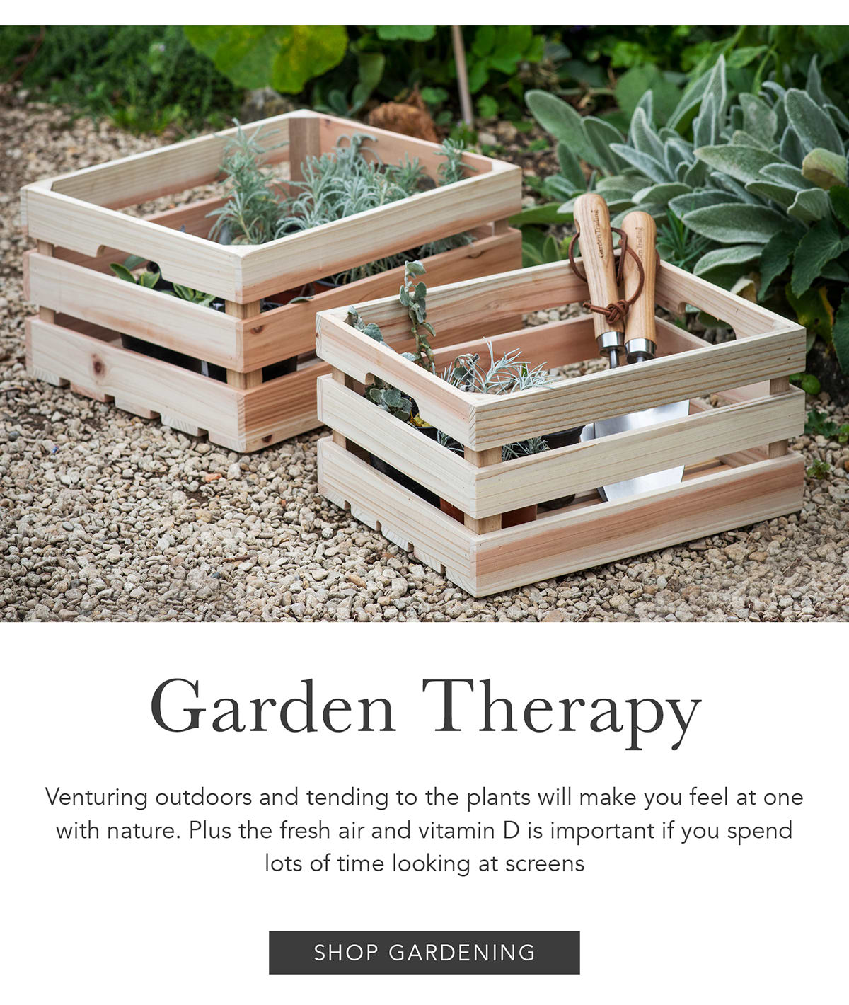Garden Therapy