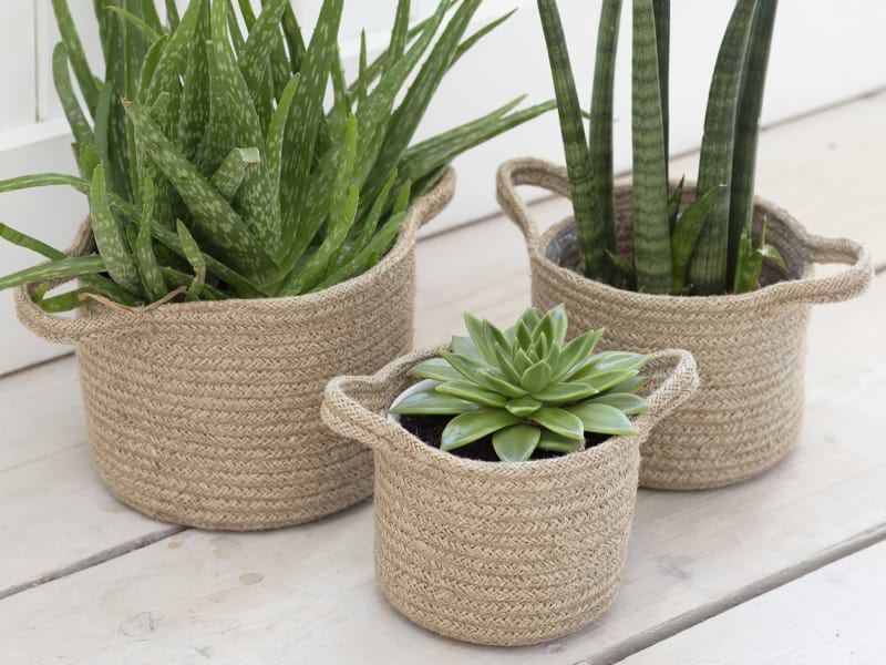 Set of 3 Woven Pots
