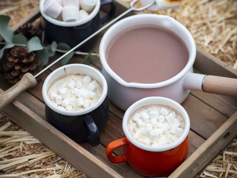 Enamel Milk Pan and Mugs