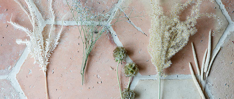 Dried flowers for a wreath