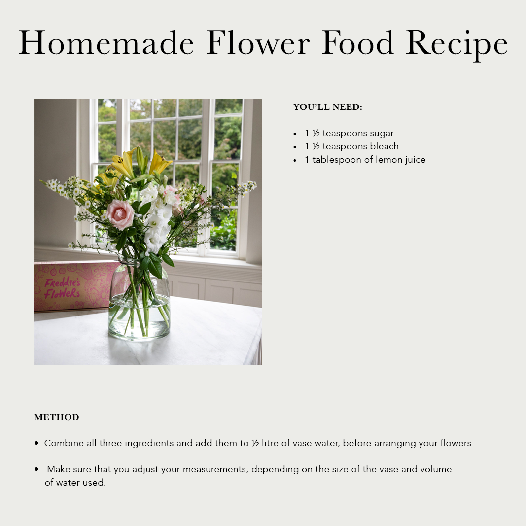 Homemade Flower Food Recipe