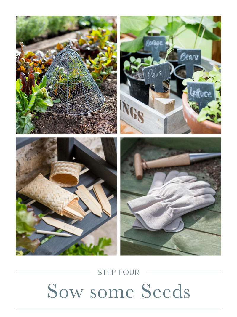 Sow some seeds 4 images of gardening